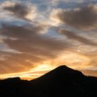 Collective Intelligence