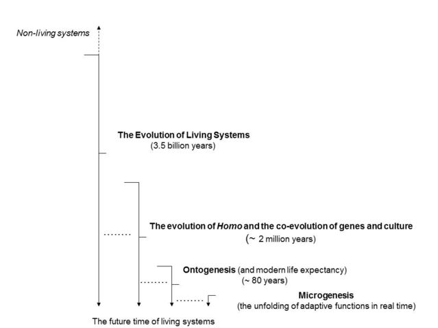 nested_timescales